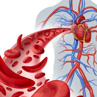  Reguluje ciśnienie krwi